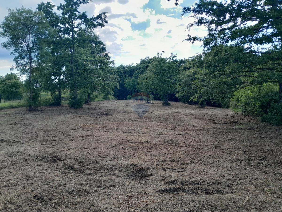 Stavbno zemljišče Cukrići, Svetvinčenat, 1.143m2