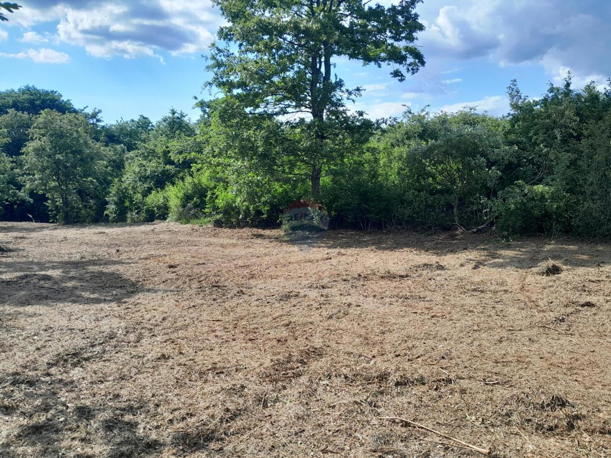 Stavbno zemljišče Cukrići, Svetvinčenat, 1.143m2