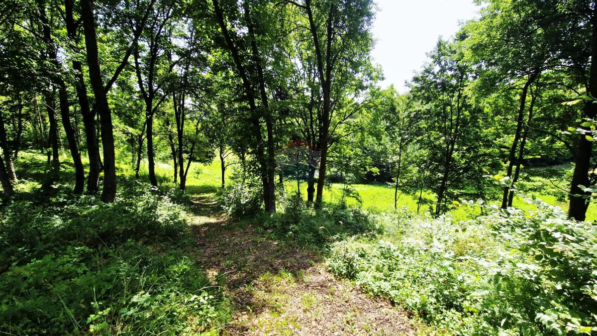 Stavbno zemljišče Kravarsko, 8.334m2