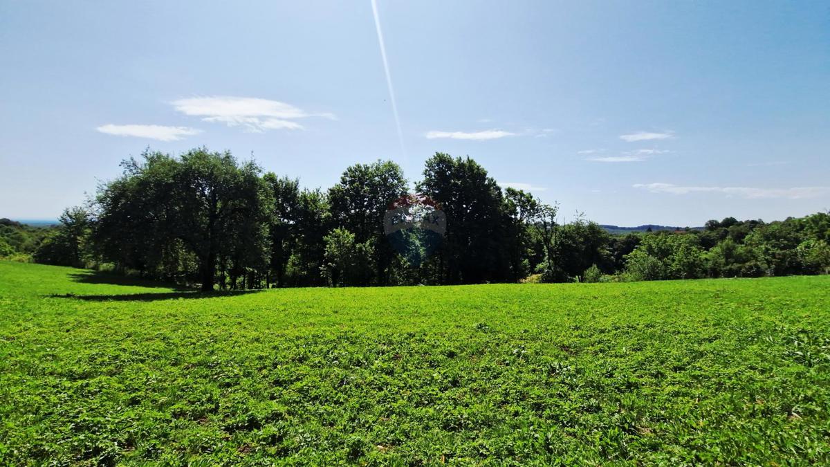 Stavbno zemljišče Kravarsko, 8.334m2