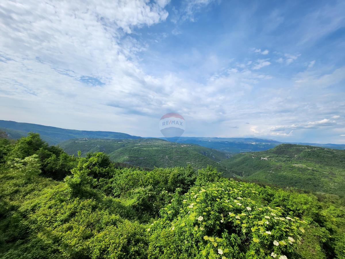Stavbno zemljišče Sovinjak, Buzet, 20.001m2