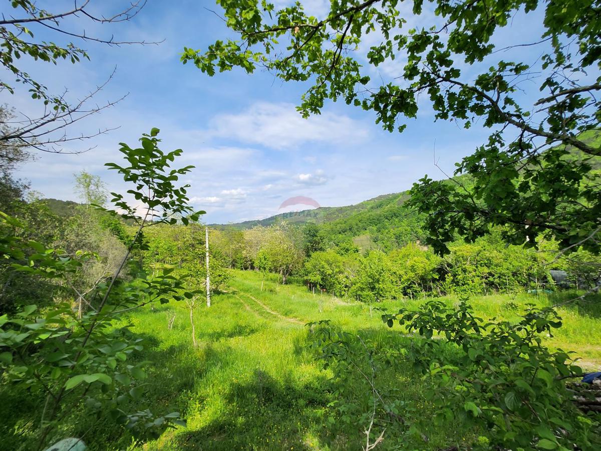 Stavbno zemljišče Sovinjak, Buzet, 20.001m2