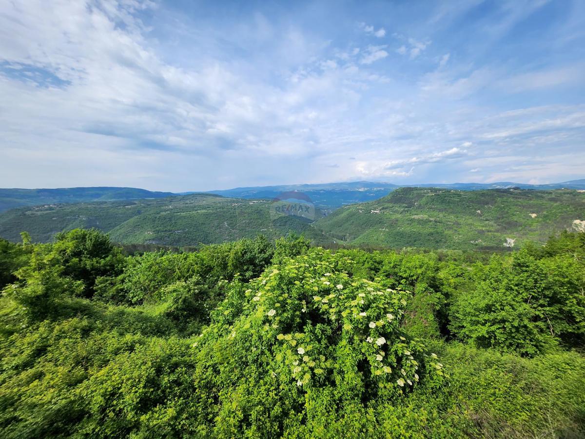 Stavbno zemljišče Sovinjak, Buzet, 20.001m2