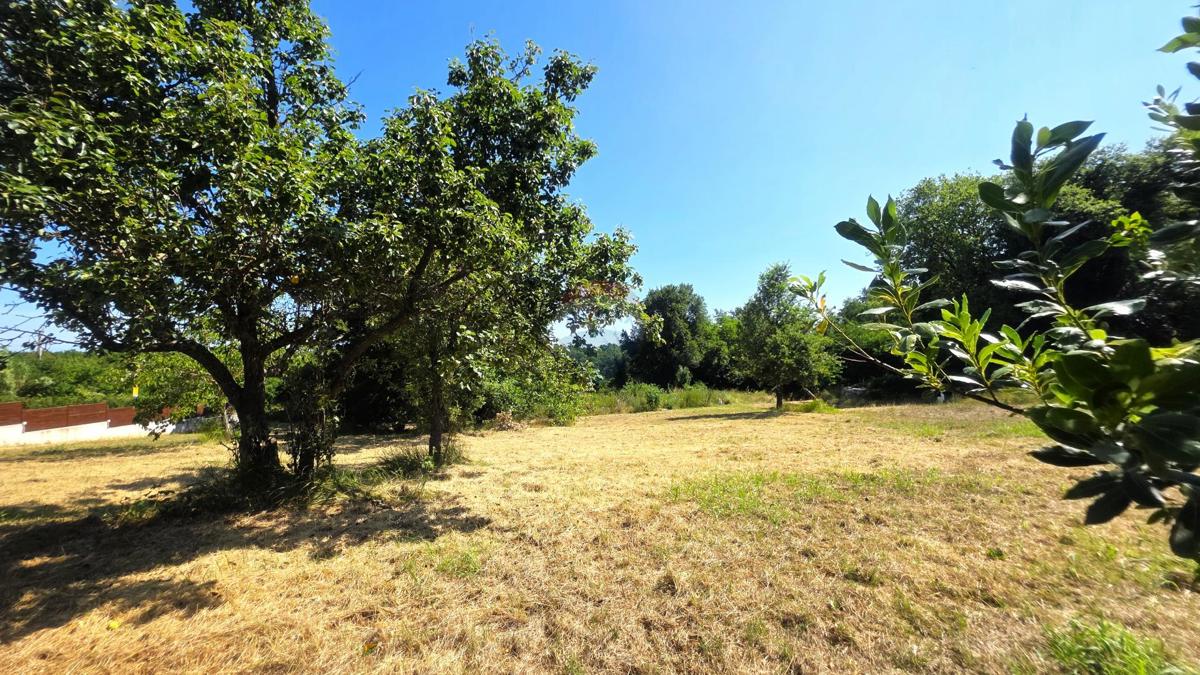 Stavbno zemljišče Brtonigla, 574,38m2