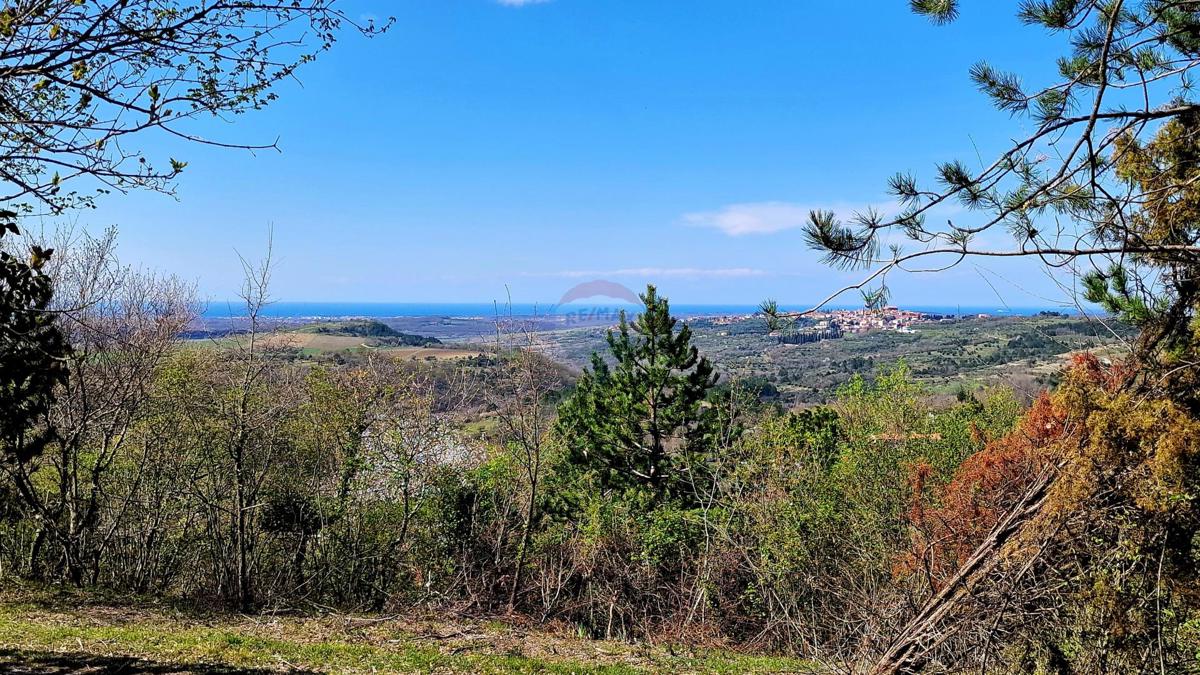 Stavbno zemljišče Krasica, Buje, 898m2