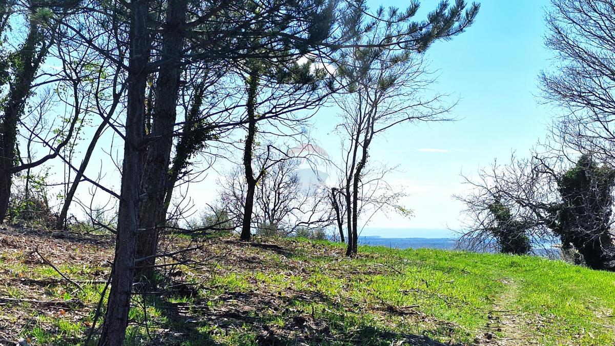 Stavbno zemljišče Krasica, Buje, 898m2