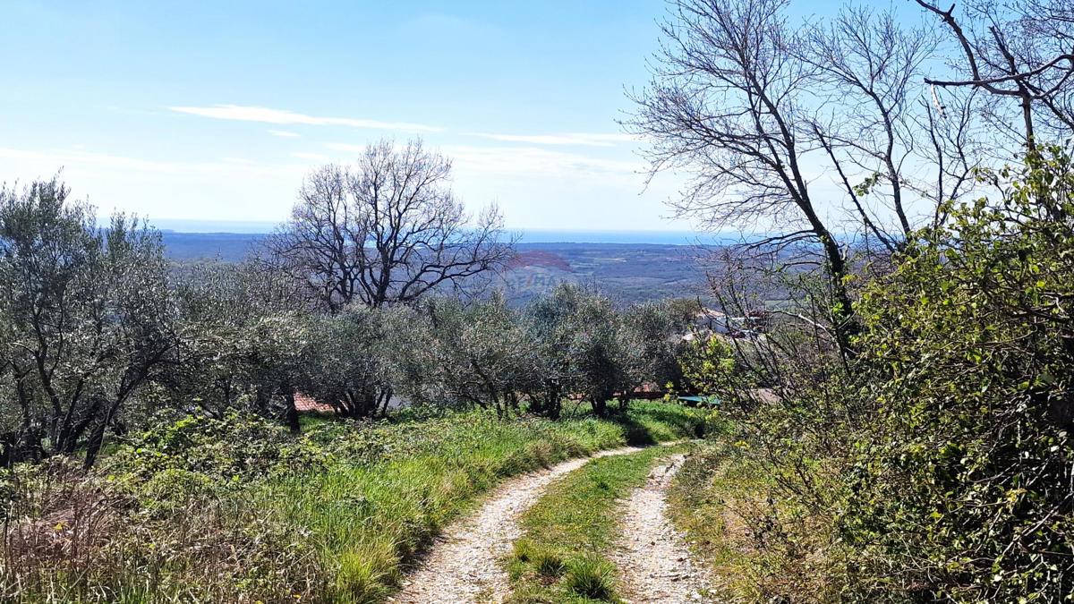 Stavbno zemljišče Krasica, Buje, 898m2