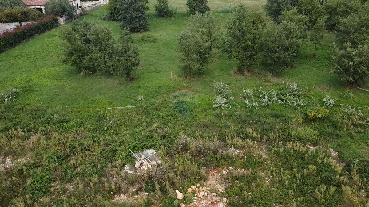 Stavbno zemljišče Tar, Tar-Vabriga, 1.276m2