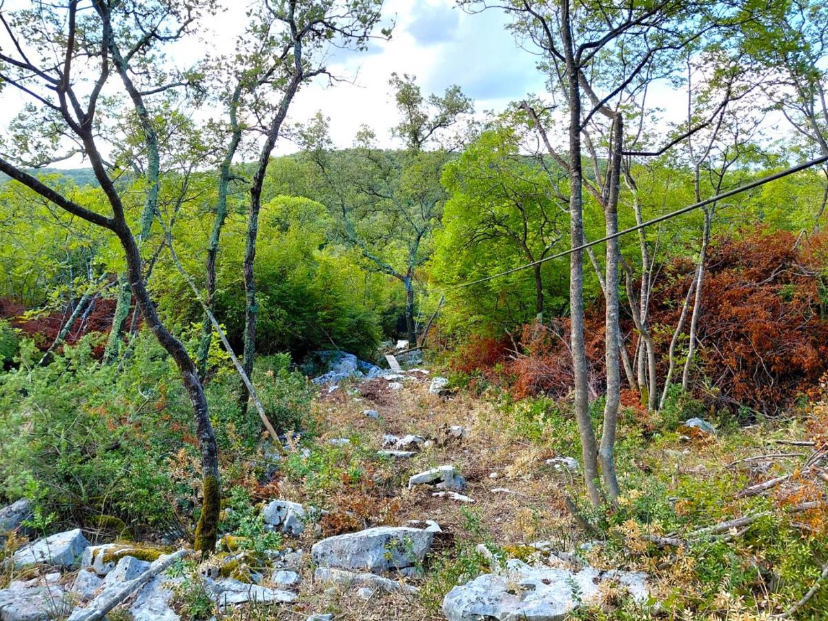 Istra, Rovinj, 8 km – podeželska parcela za duševni počitek, 4.150 m².