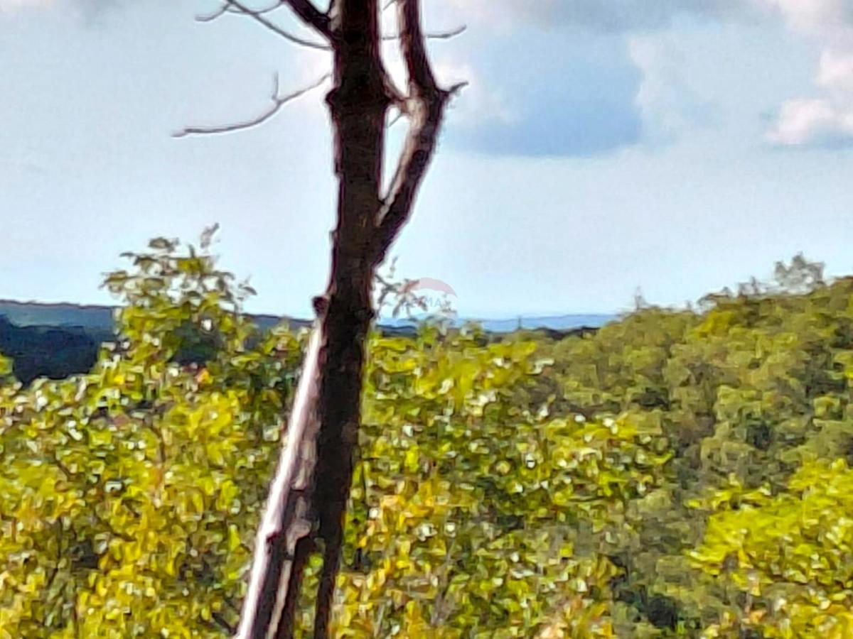 Istra, Rovinj, 8 km – podeželska parcela za duševni počitek, 4.150 m².