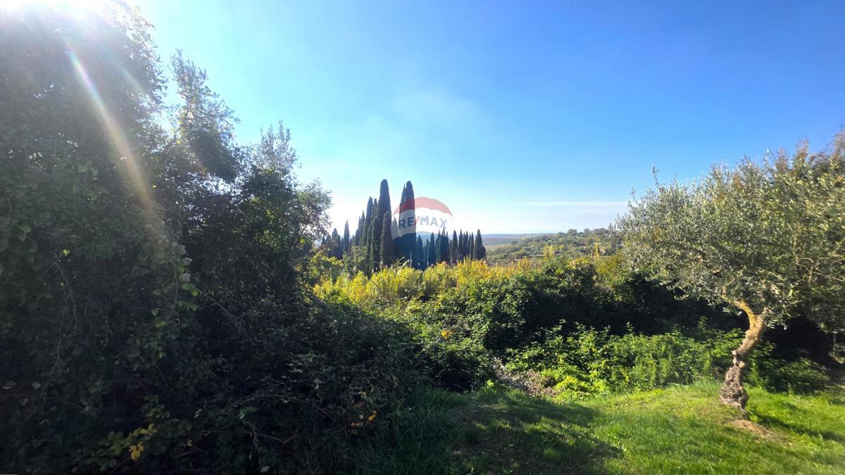 Stavbno zemljišče Buje, 903m2