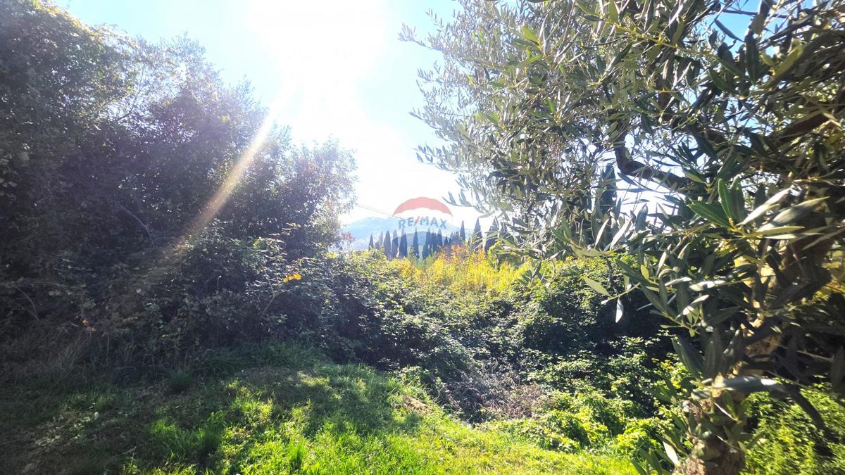 Stavbno zemljišče Buje, 903m2