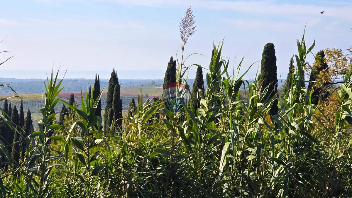 Stavbno zemljišče Buje, 903m2