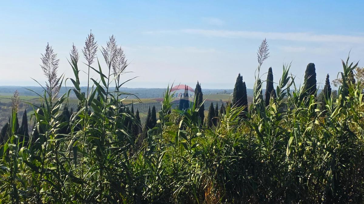 Stavbno zemljišče Buje, 903m2