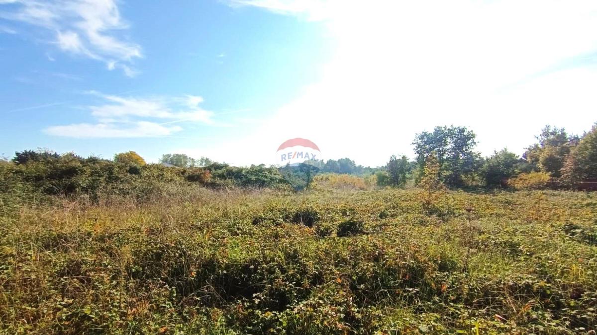 Stavbno zemljišče Novigrad, 659m2
