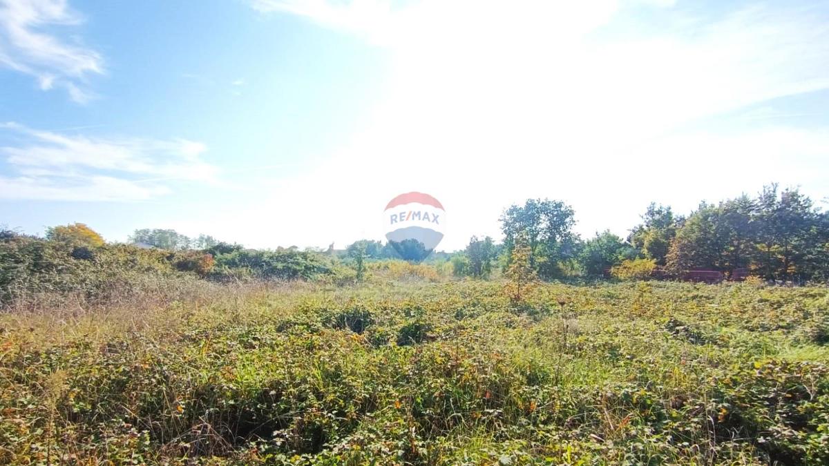 Stavbno zemljišče Novigrad, 659m2