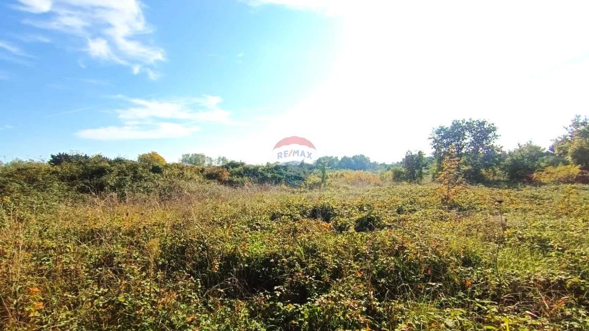 Stavbno zemljišče Novigrad, 659m2