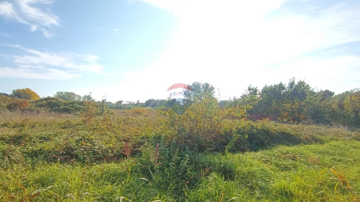 Stavbno zemljišče Novigrad, 659m2