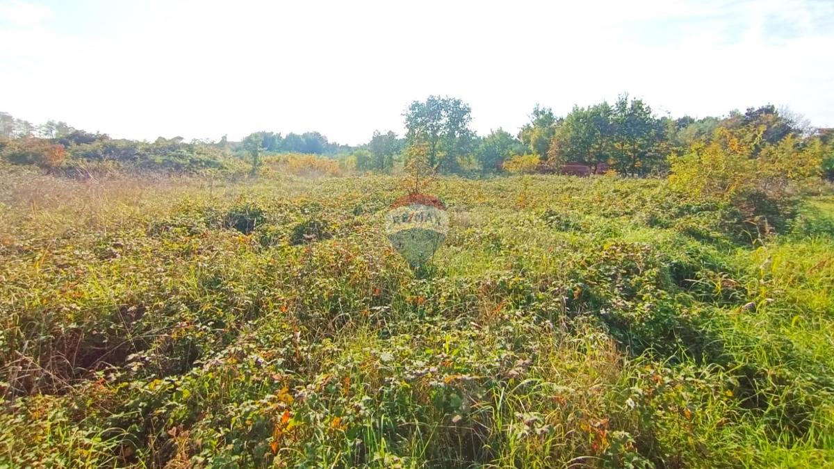 Stavbno zemljišče Novigrad, 659m2