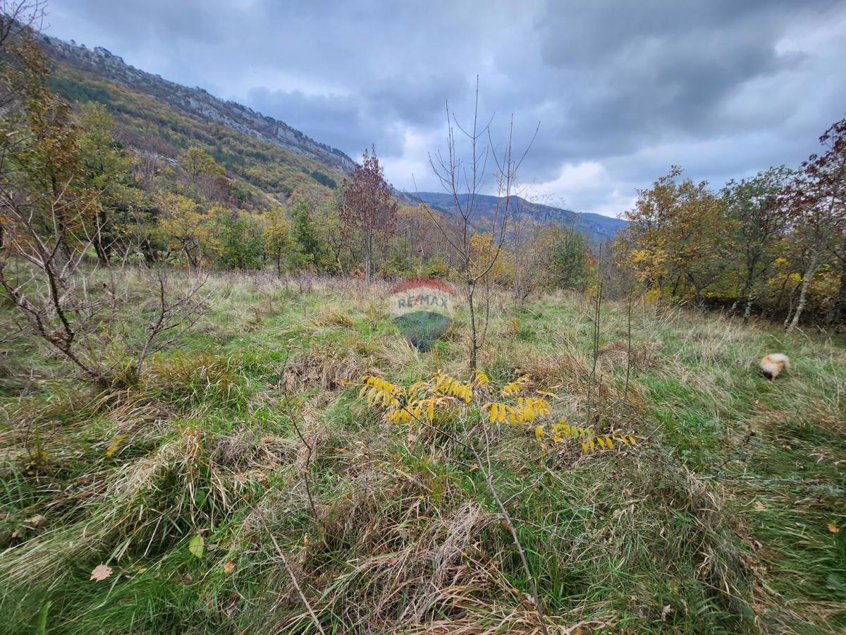 Stavbno zemljišče Stanica Roč, Buzet, 4.848m2