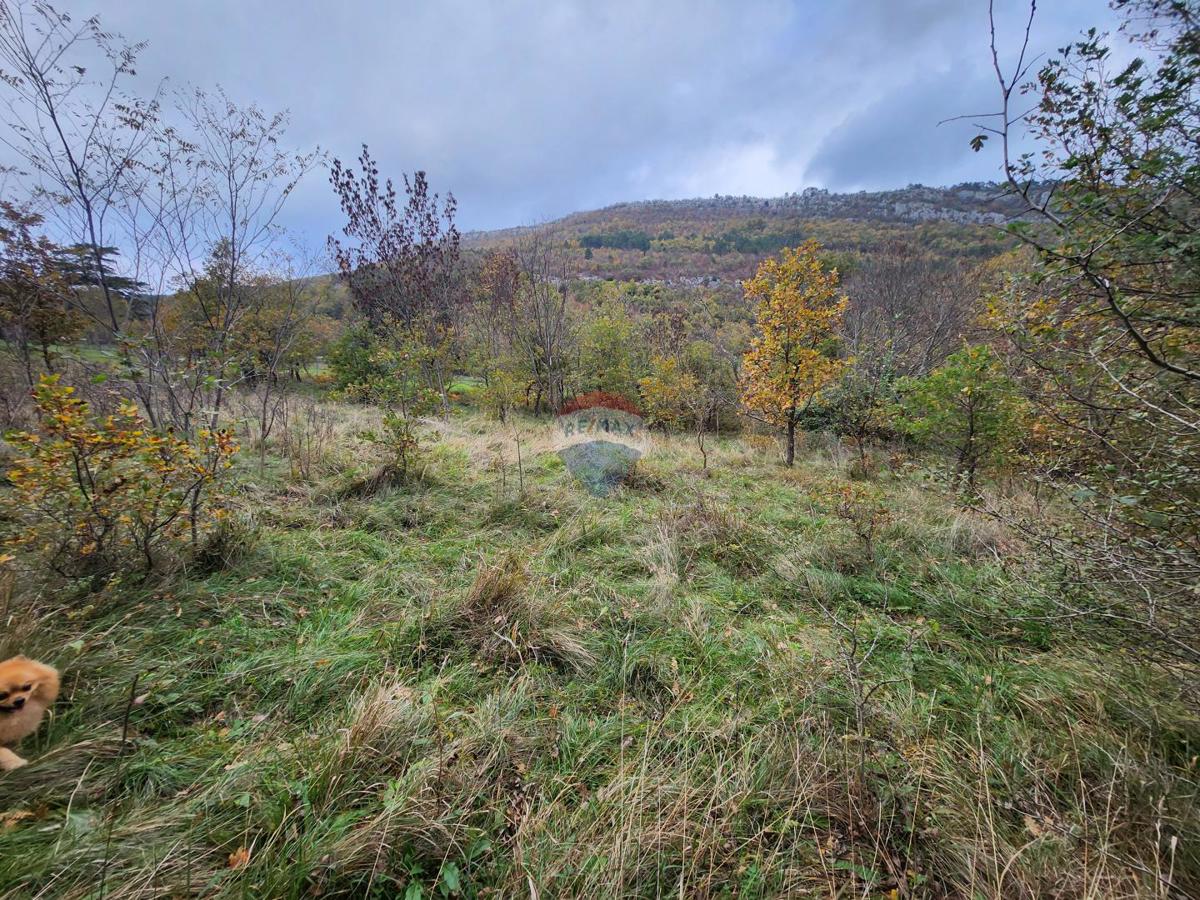 Stavbno zemljišče Stanica Roč, Buzet, 4.848m2