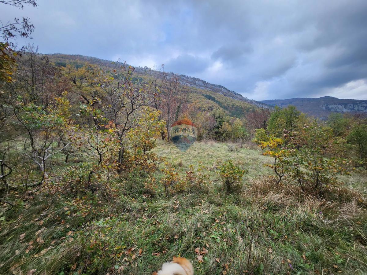 Stavbno zemljišče Stanica Roč, Buzet, 4.848m2