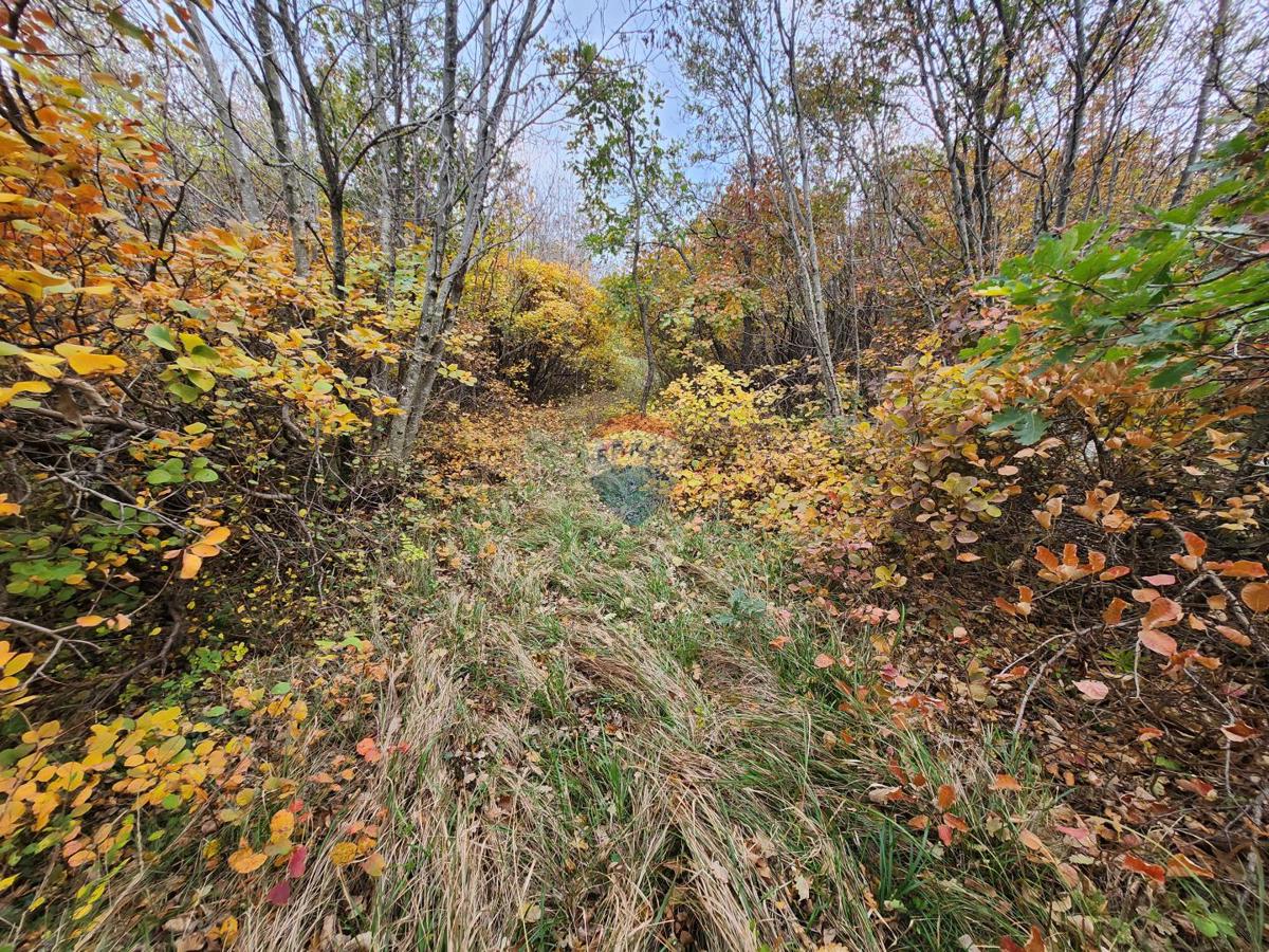 Stavbno zemljišče Stanica Roč, Buzet, 4.848m2