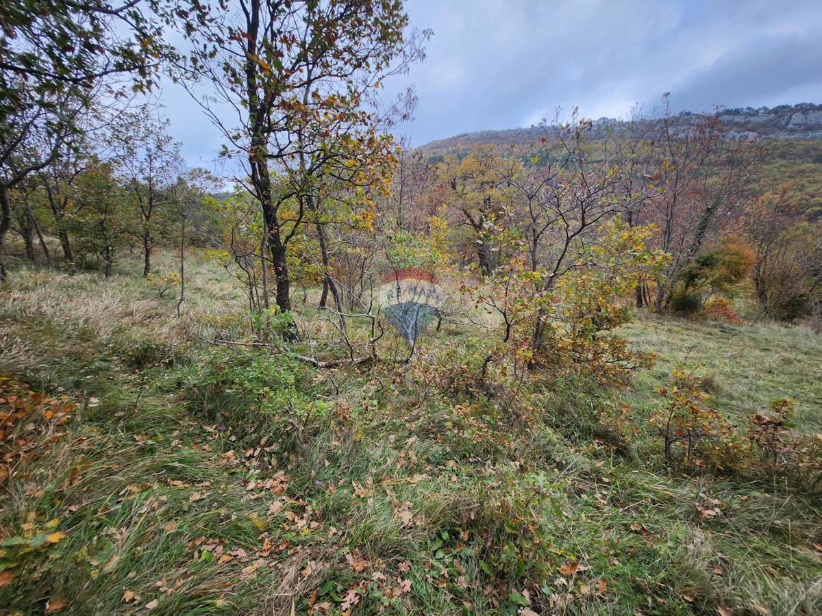 Stavbno zemljišče Stanica Roč, Buzet, 4.848m2