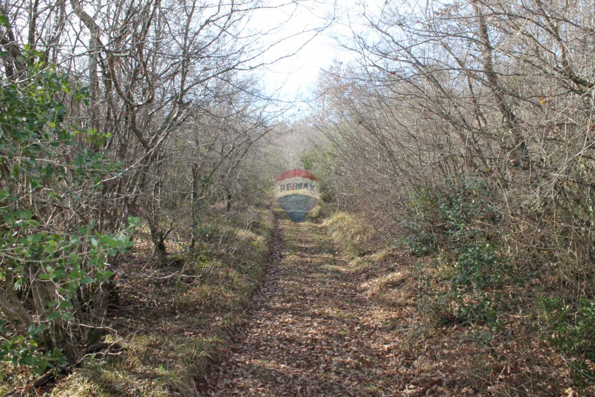 Stavbno zemljišče Rovinjsko Selo, Rovinj, 8.700m2