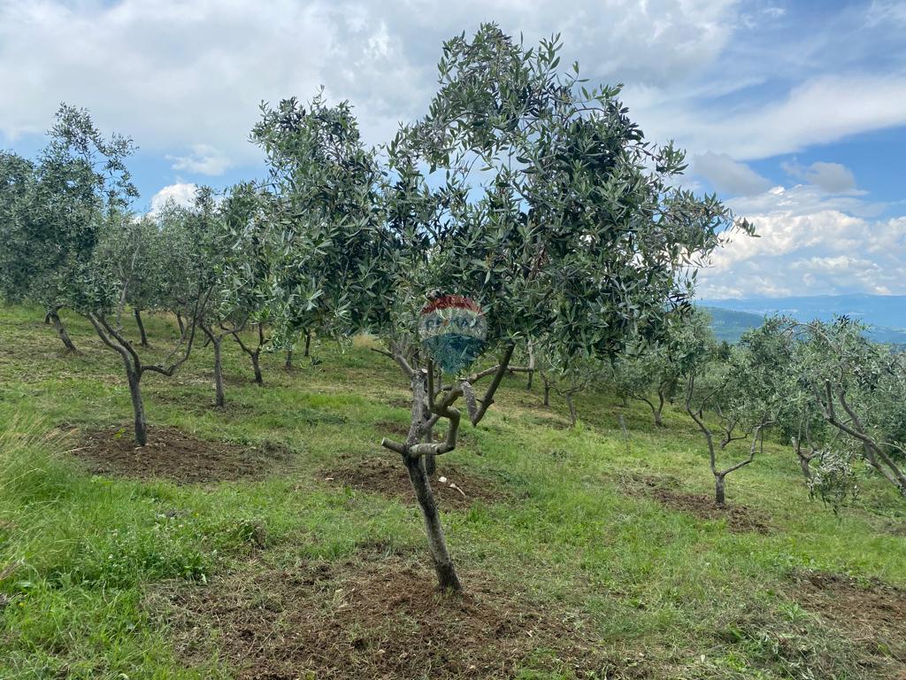 Stavbno zemljišče Cerovlje, 45.398m2