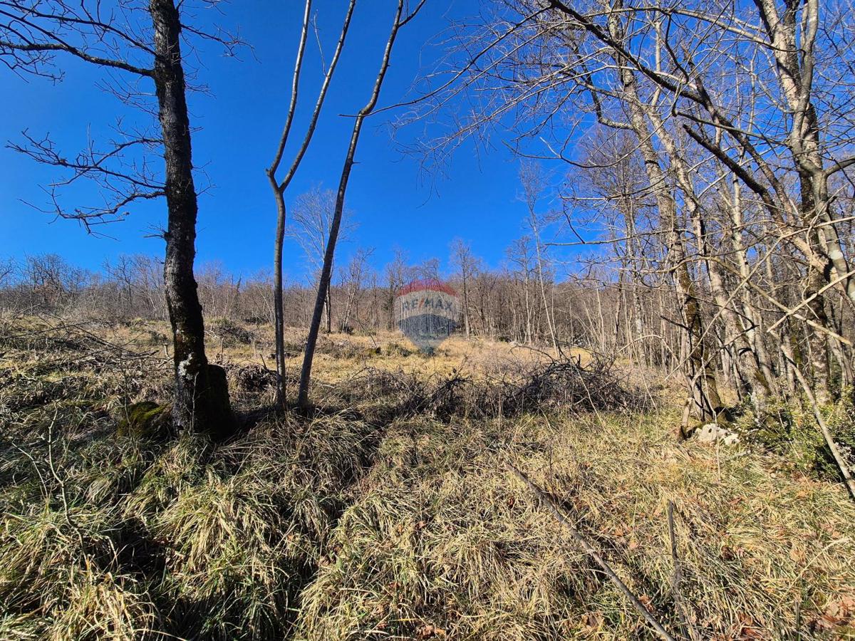 Stavbno zemljišče Kastav, 604m2