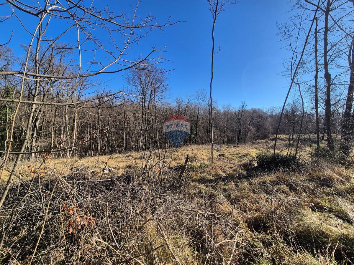 Stavbno zemljišče Kastav, 604m2