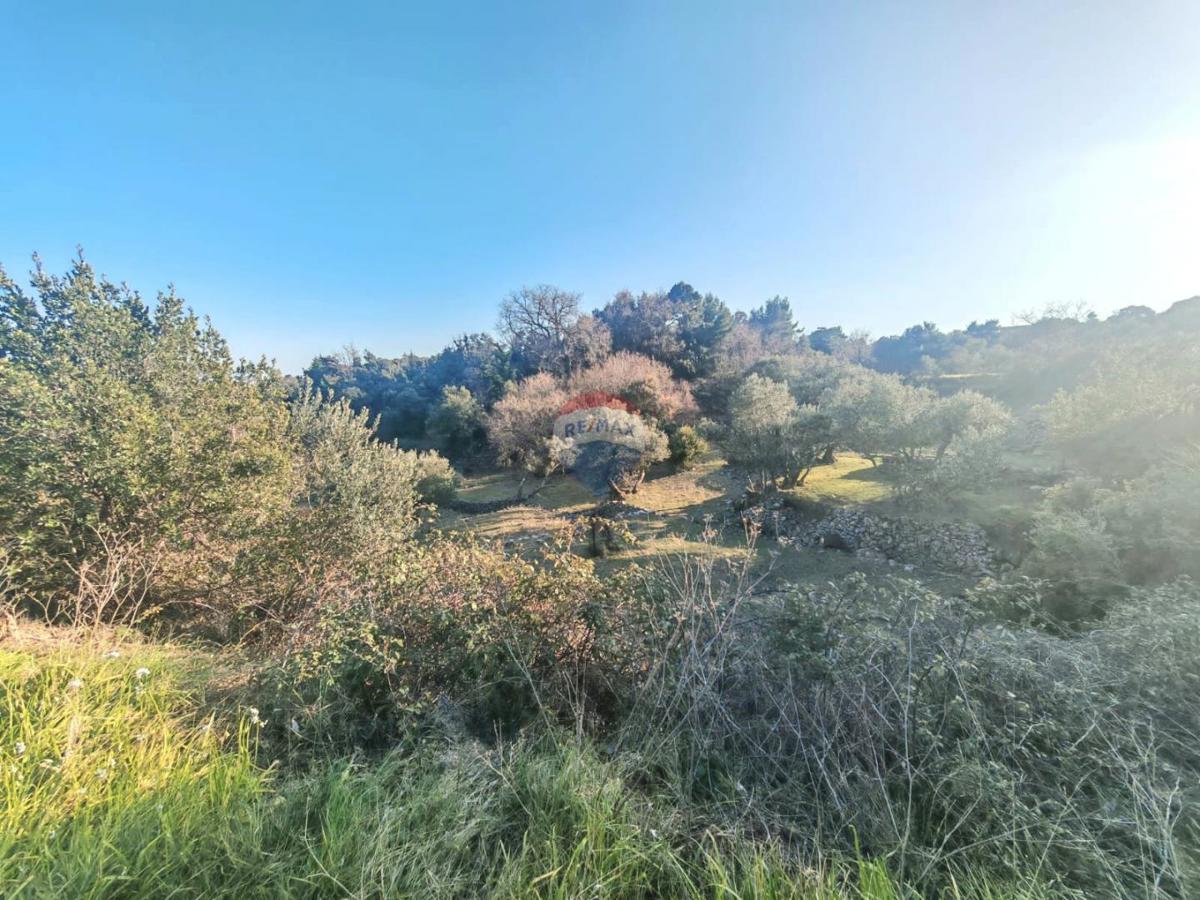 Stavbno zemljišče Palit, Rab, 1.815m2