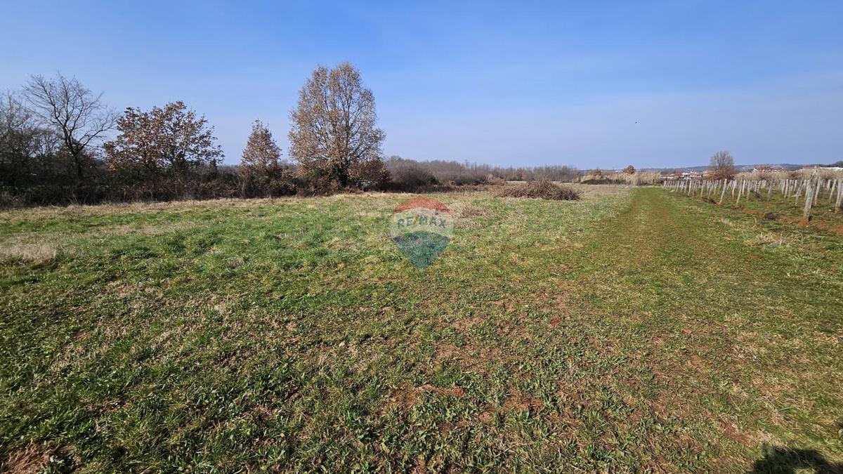 Stavbno zemljišče Čepljani, Umag, 2.490m2