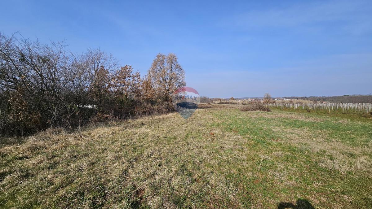 Stavbno zemljišče Čepljani, Umag, 2.490m2