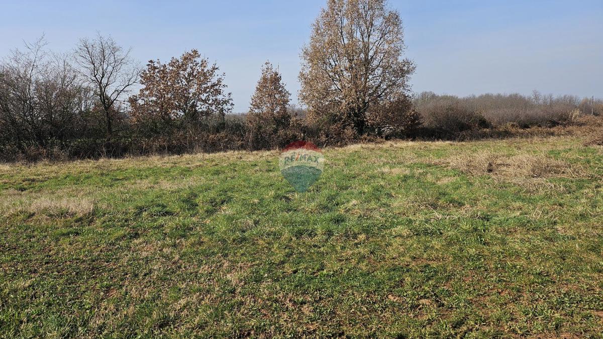 Stavbno zemljišče Čepljani, Umag, 2.490m2