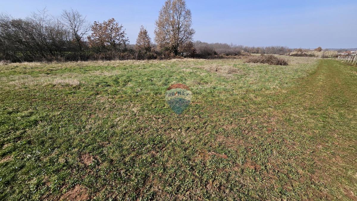 Stavbno zemljišče Čepljani, Umag, 2.490m2