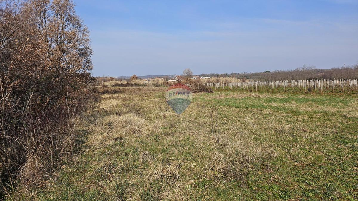 Stavbno zemljišče Čepljani, Umag, 2.490m2