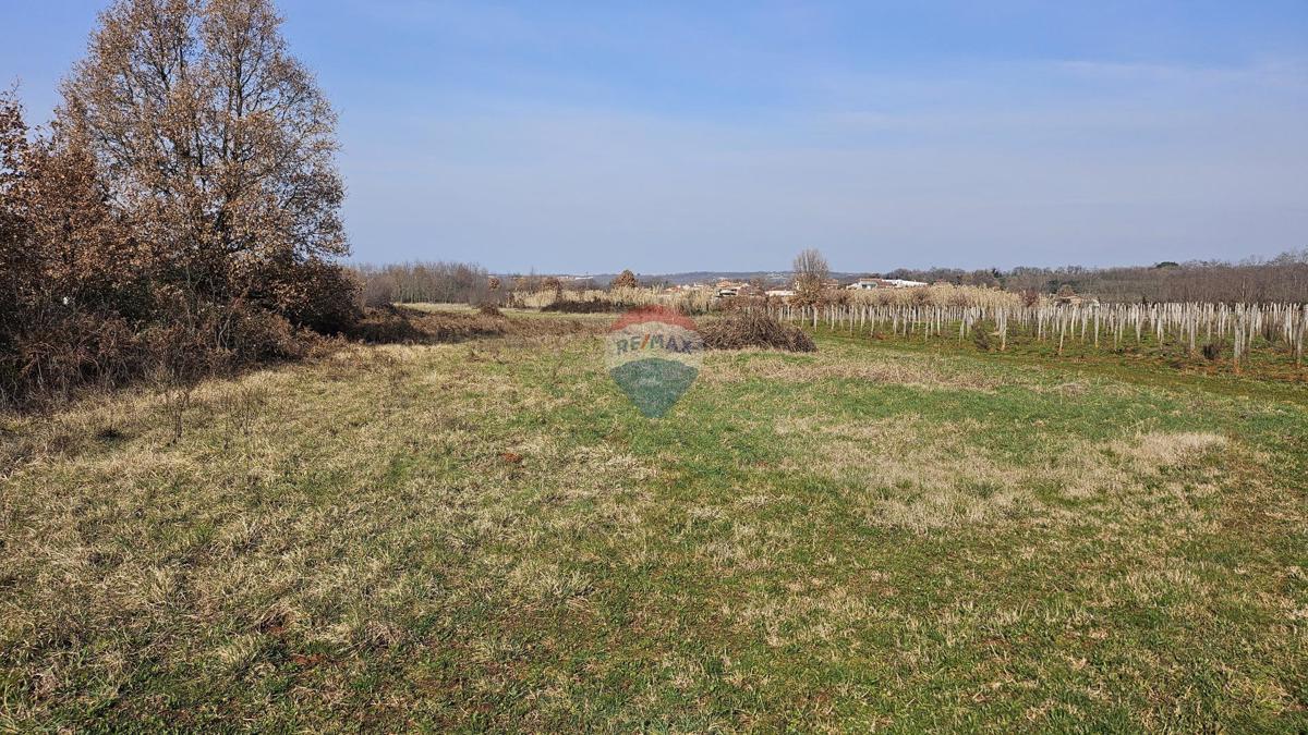 Stavbno zemljišče Čepljani, Umag, 2.490m2