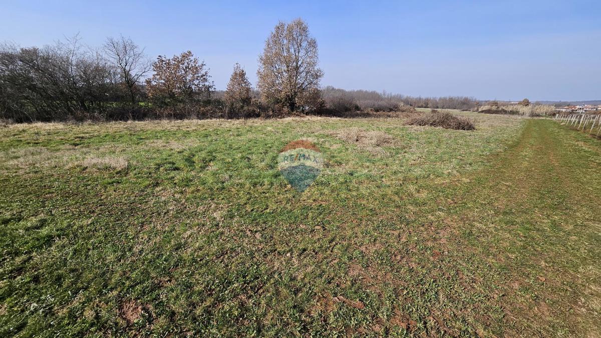 Stavbno zemljišče Čepljani, Umag, 2.490m2