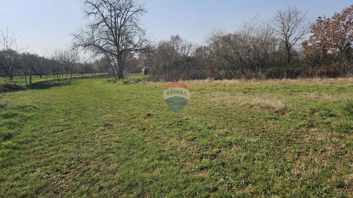 Stavbno zemljišče Čepljani, Umag, 2.490m2