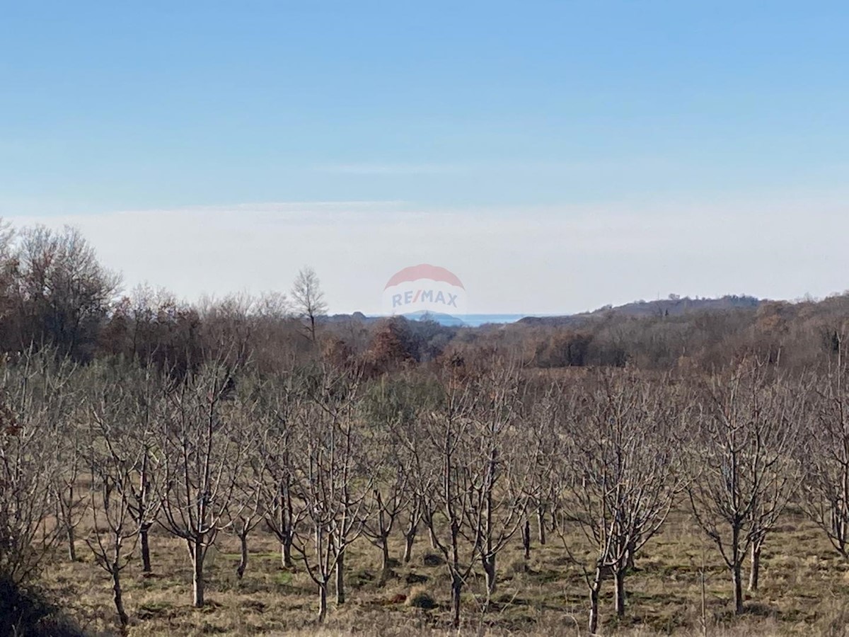 Hiša Sveti Lovreč, 355,89m2