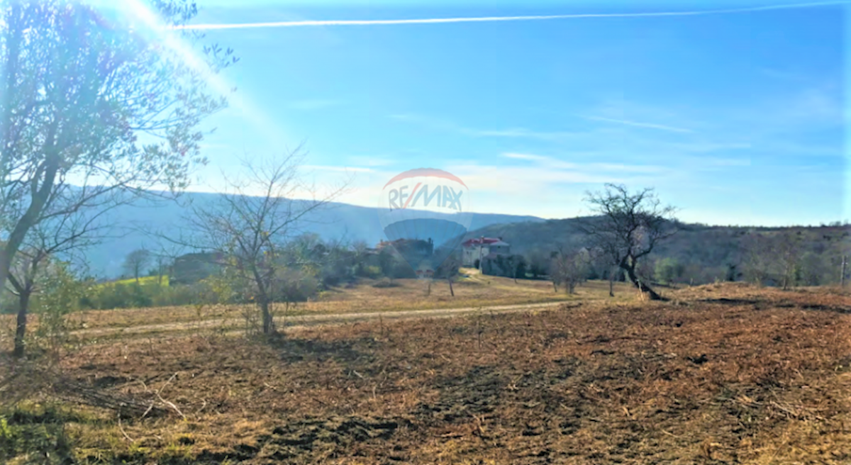 Grožnjan, 114.440m2