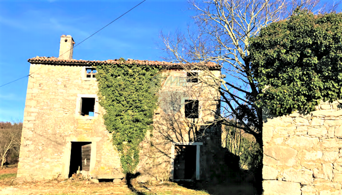 Grožnjan, 114.440m2