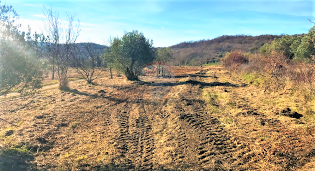 Grožnjan, 114.440m2