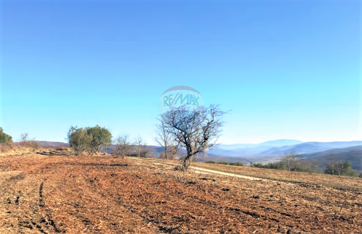 Grožnjan, 114.440m2