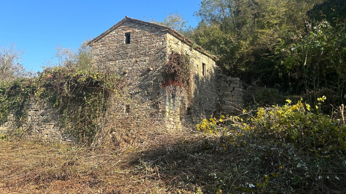 Istra, Belaj, staro istrsko posestvo s hišo za obnovo in vrtom 5542 m2