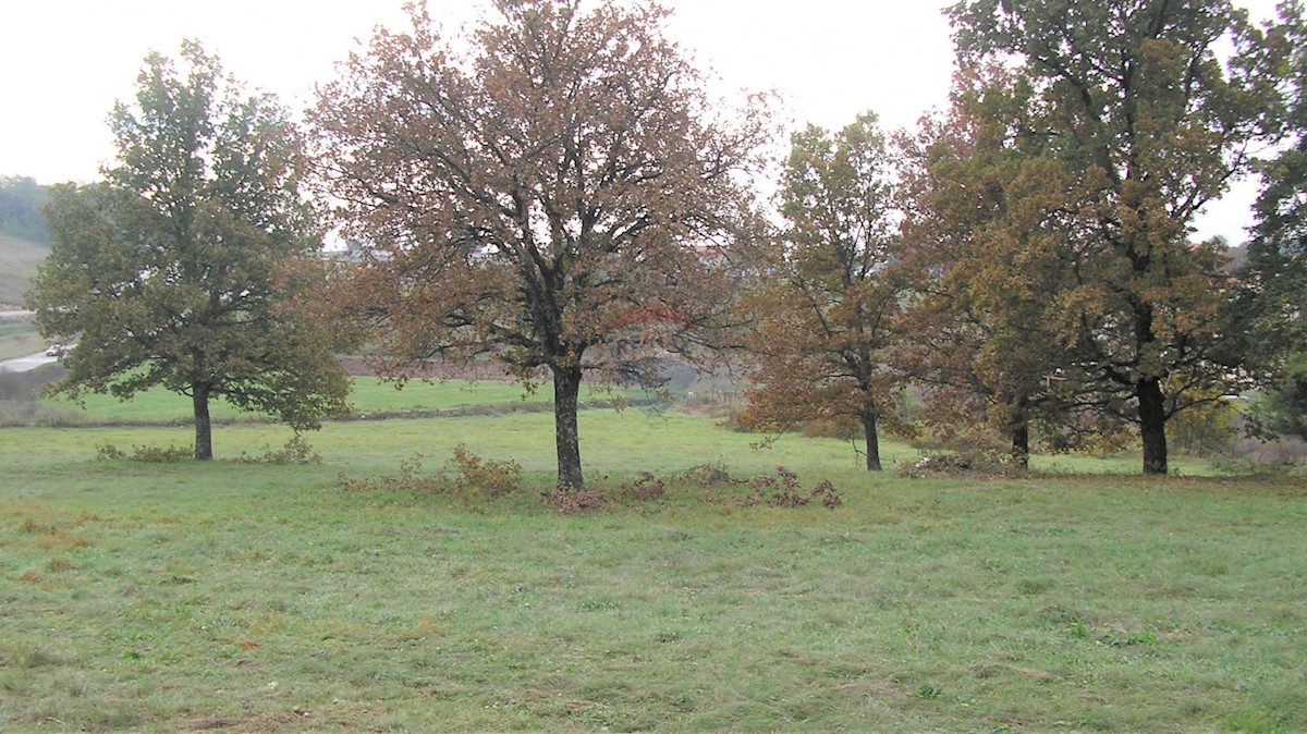 Trviž, Pazin - Okolica, 12.300m2