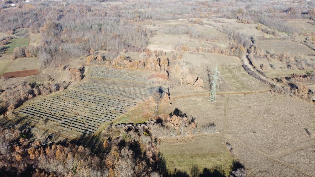 Nedešćina, Sveta Nedelja, 9.824m2