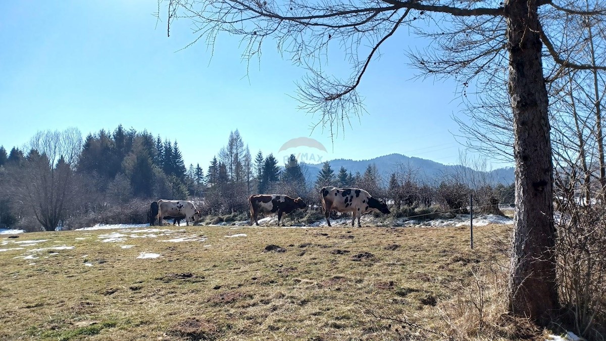 Jasenak, Ogulin, 1.507m2